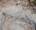 நெடுந்தீவில் 40 அடி உயர மனிதனின் பாதச்சுவடு