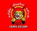 புனர்வாழ்வு பெற்ற தமிழ் விடுதலைப் புலிகள் கட்சி உதயமானது