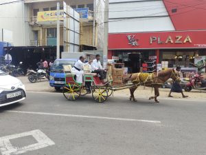 எரிபொருள் தட்டுப்பாட்டினால் குதிரை வண்டியில் பயணிக்கும் அருட்தந்தை!